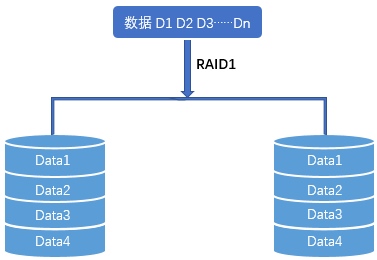 RAID1