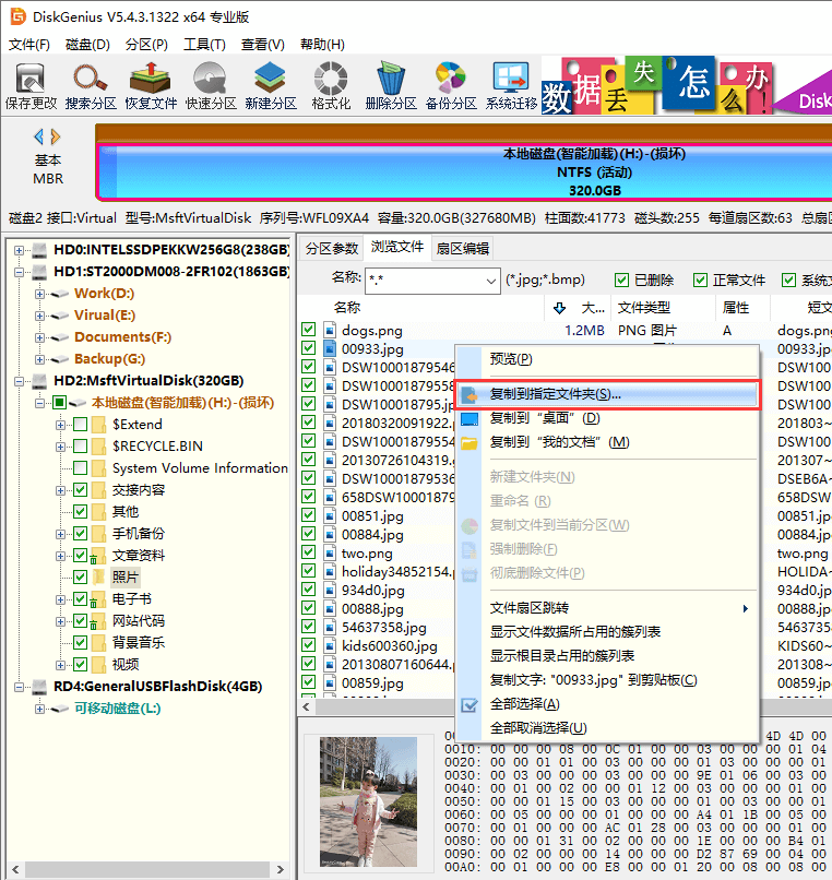 Copy recovered files to another folder