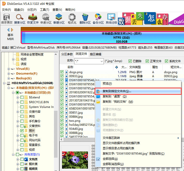 Copy selected recovered files