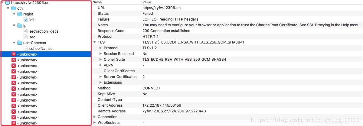 HTTPS packet capture