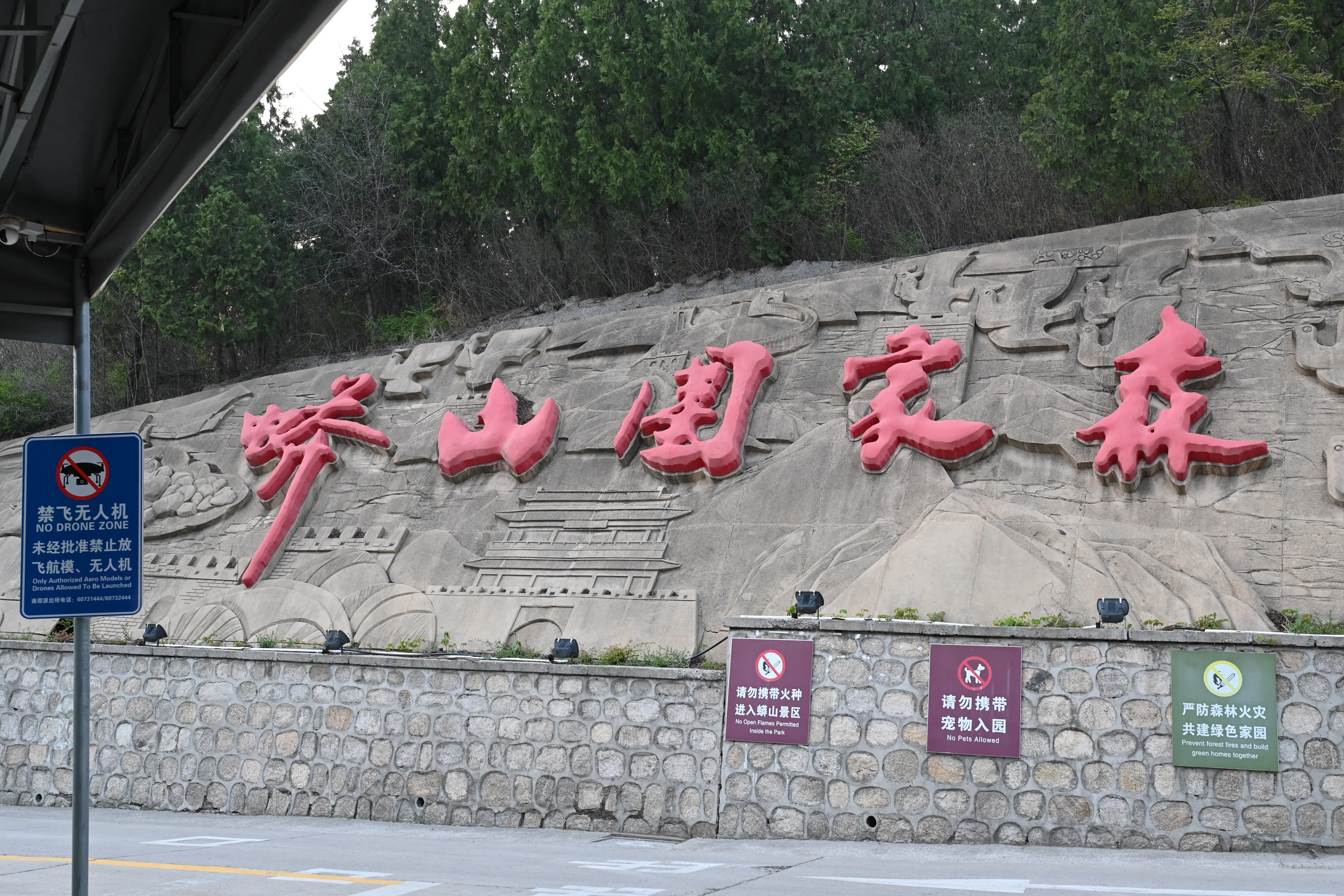 01.webp
