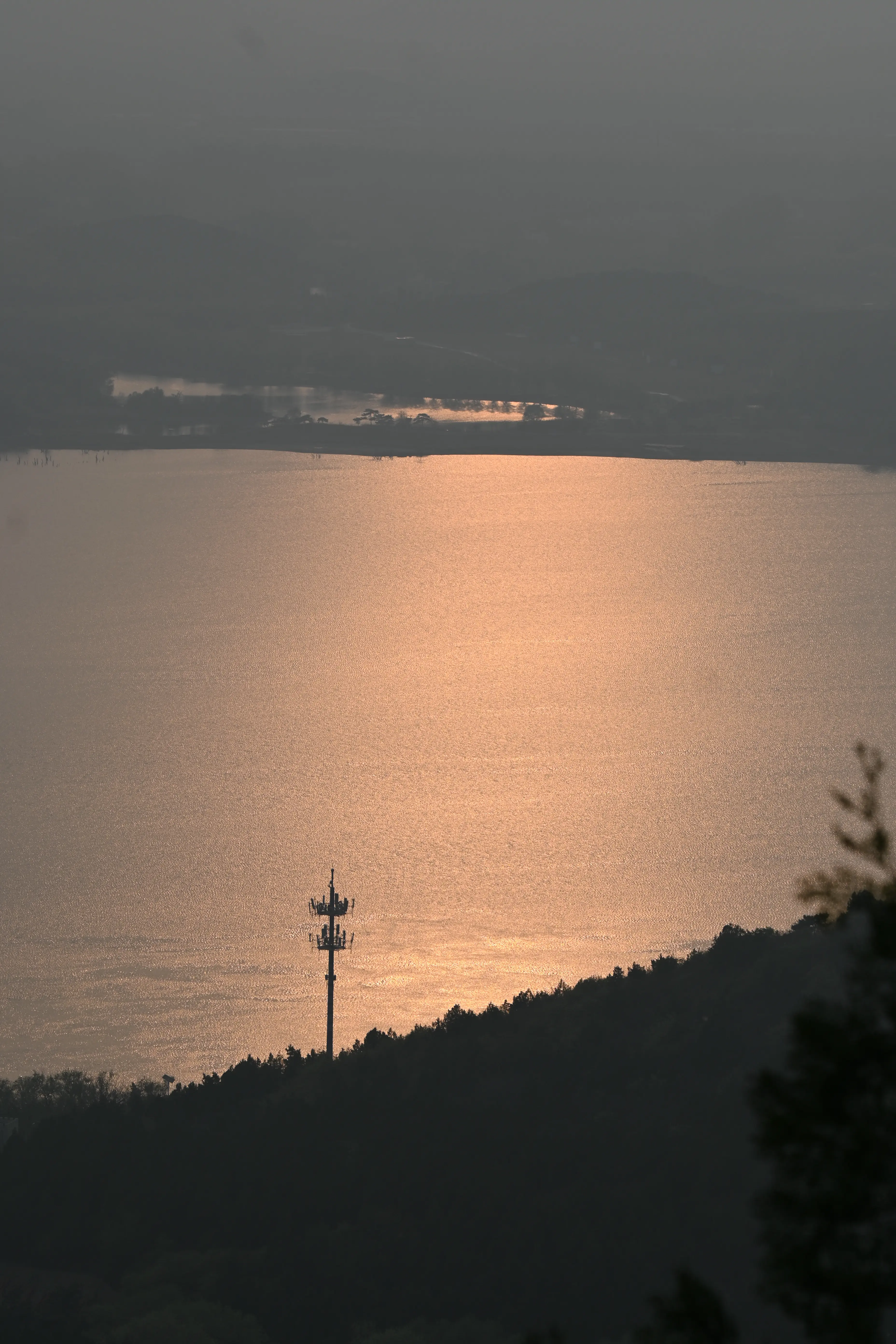 13.webp