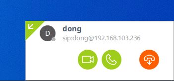 SIP user with server address