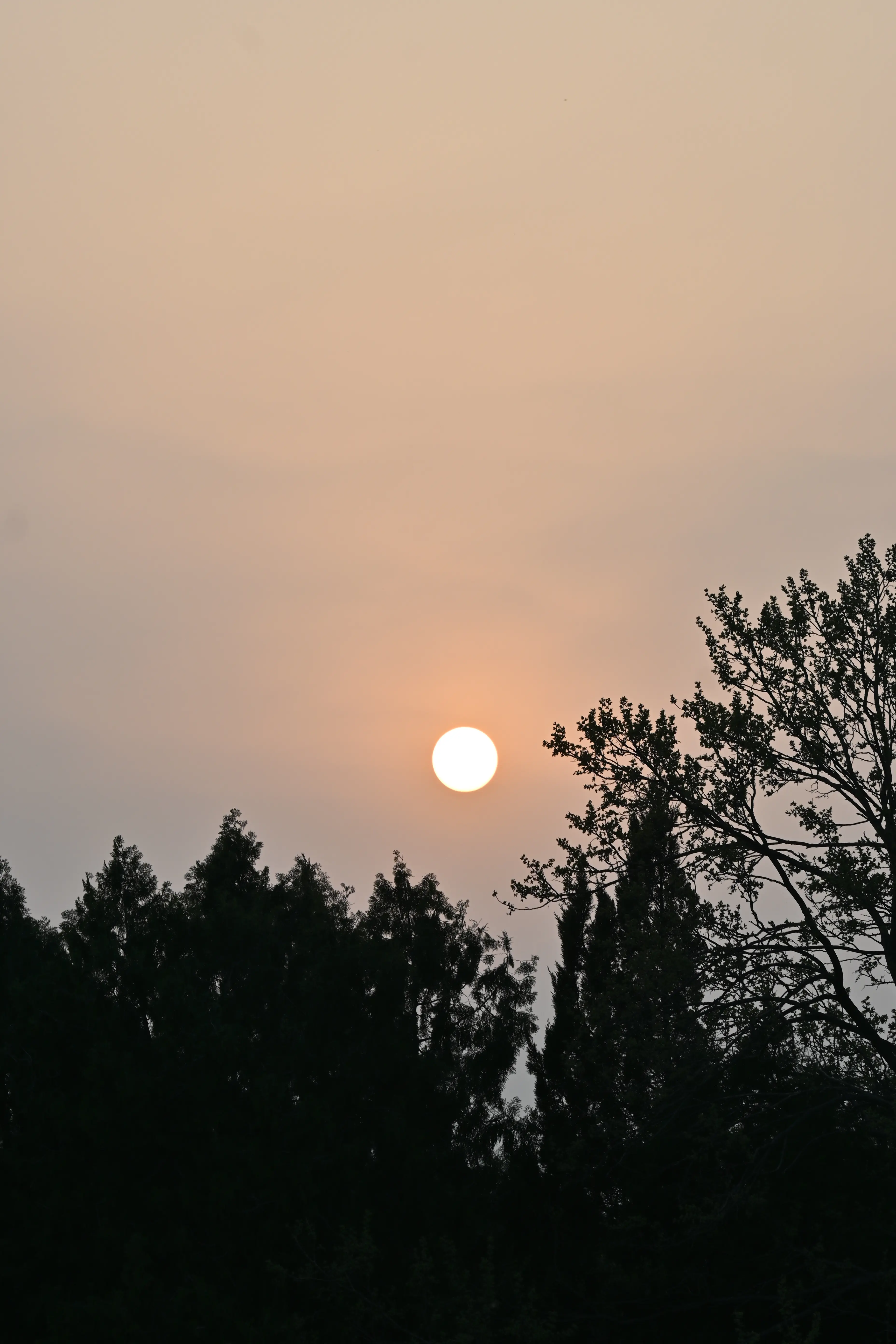 14.webp