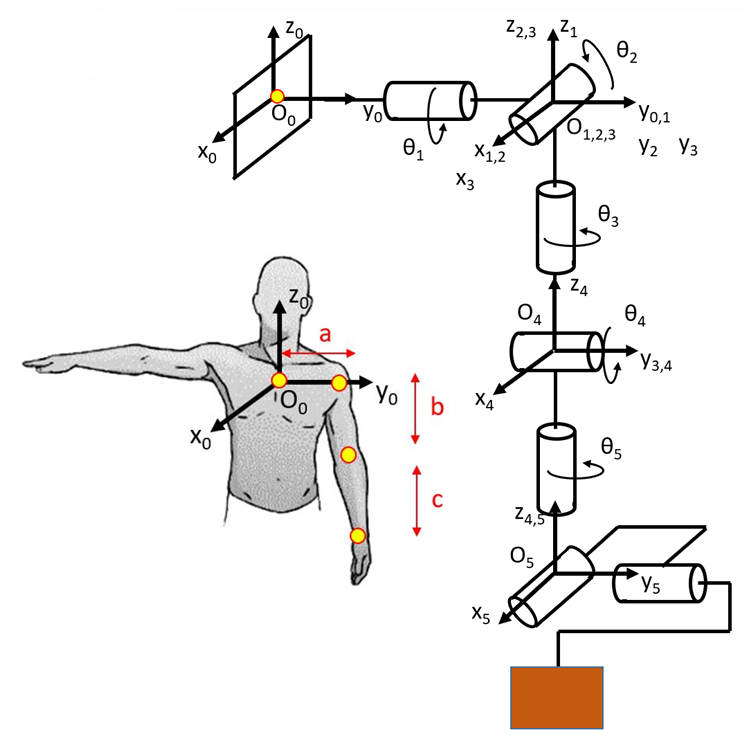 Joint coordinates and workspace