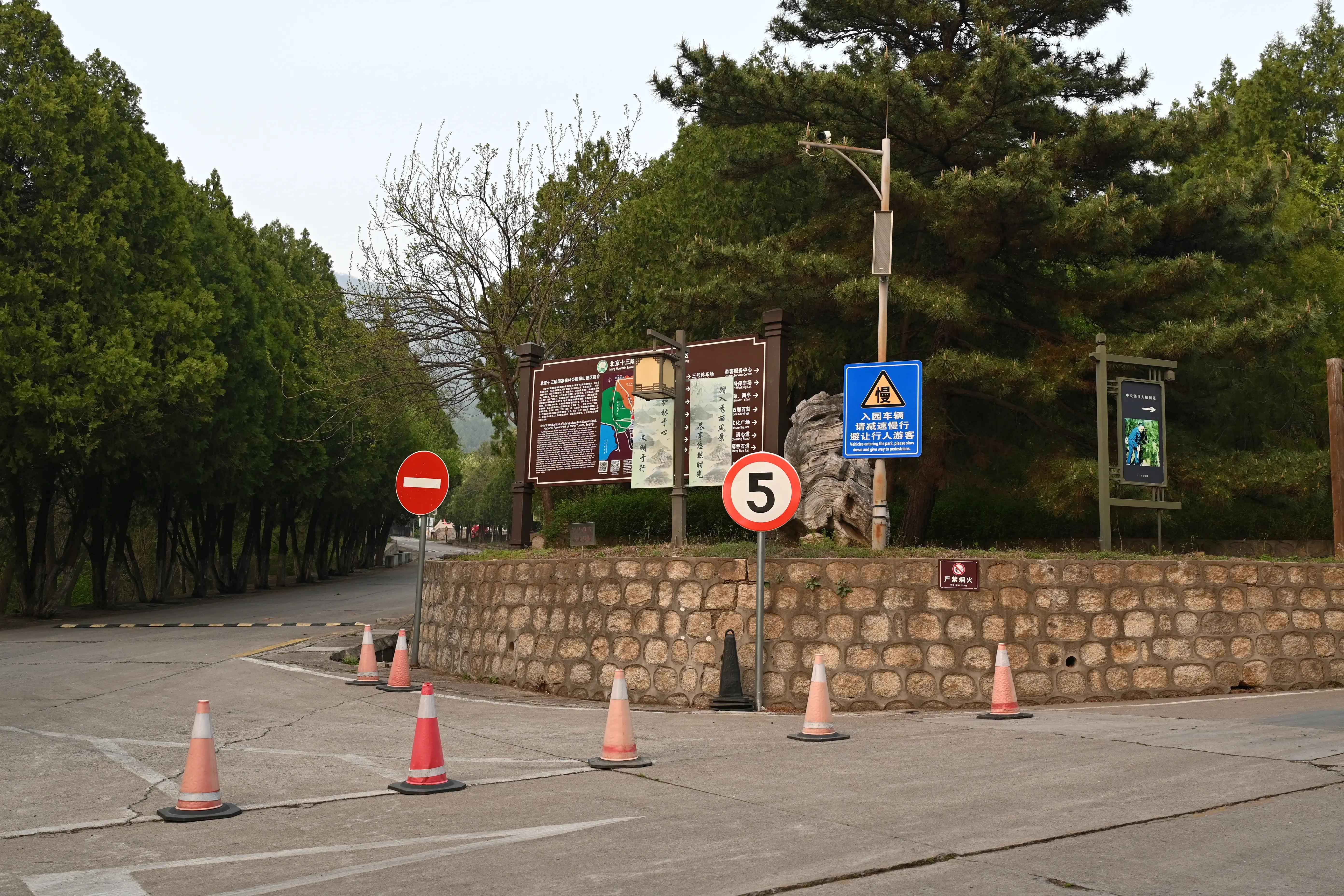 15.webp