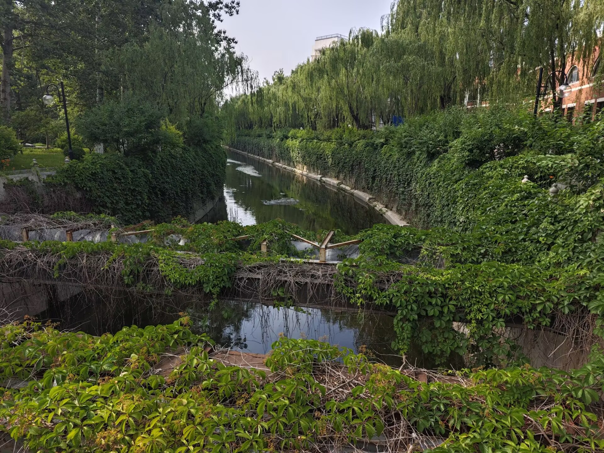 Tsinghua campus