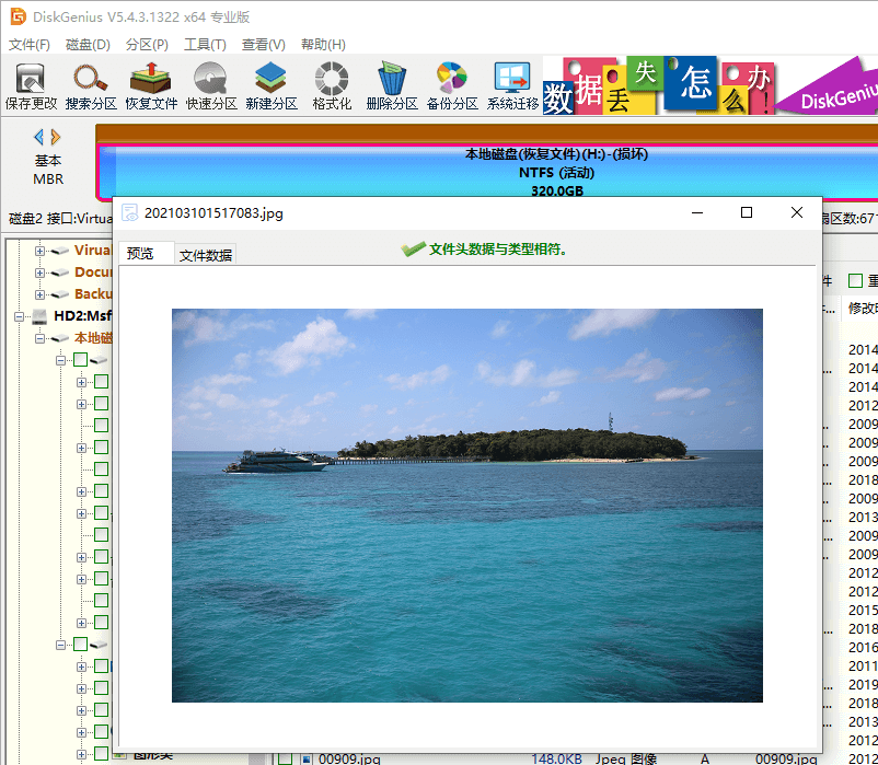 Preview files before recovery