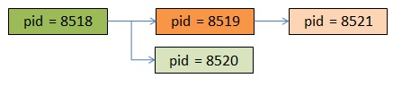 fork进程树 fork process tree