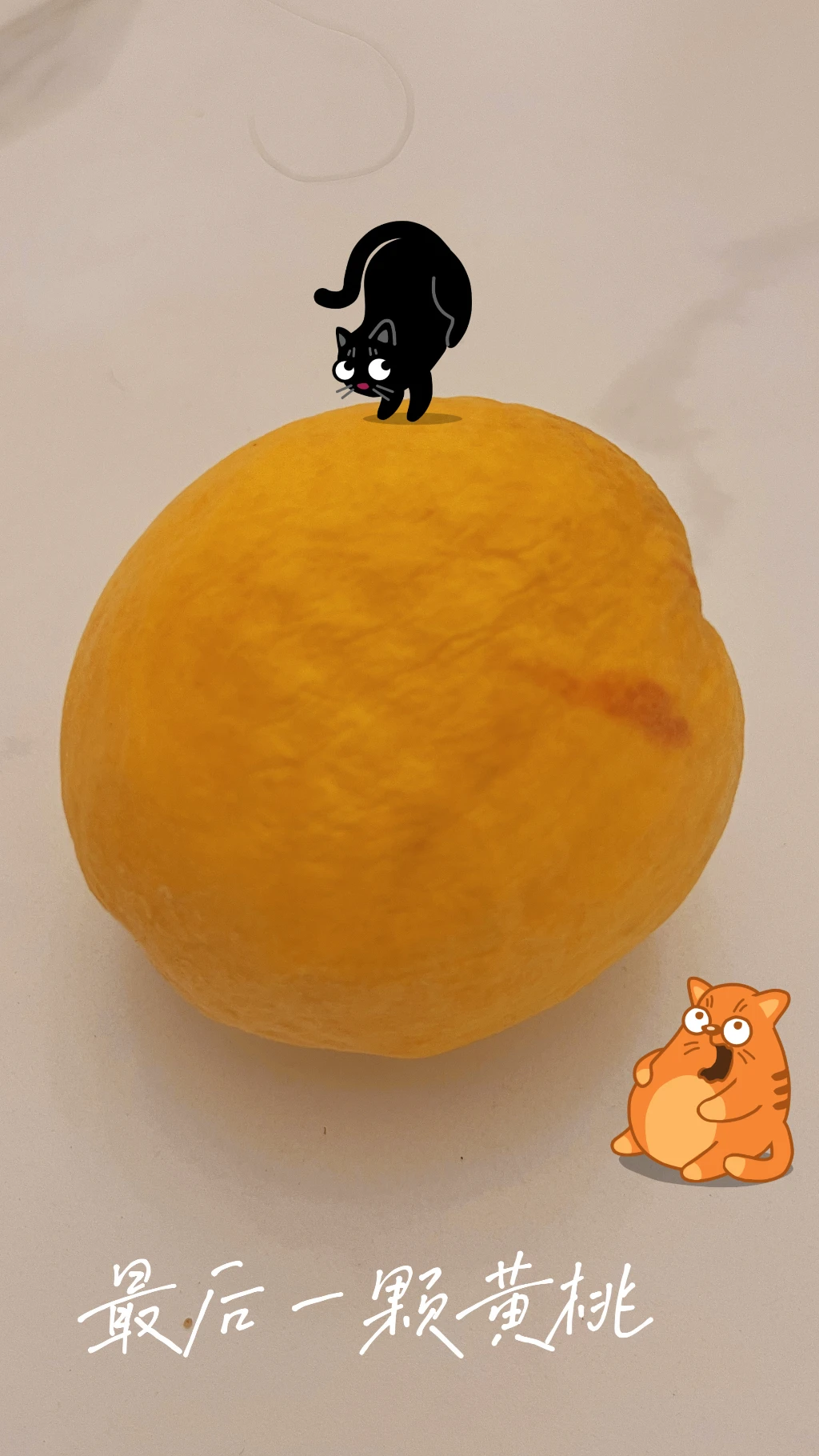 The last yellow peach The last yellow peach